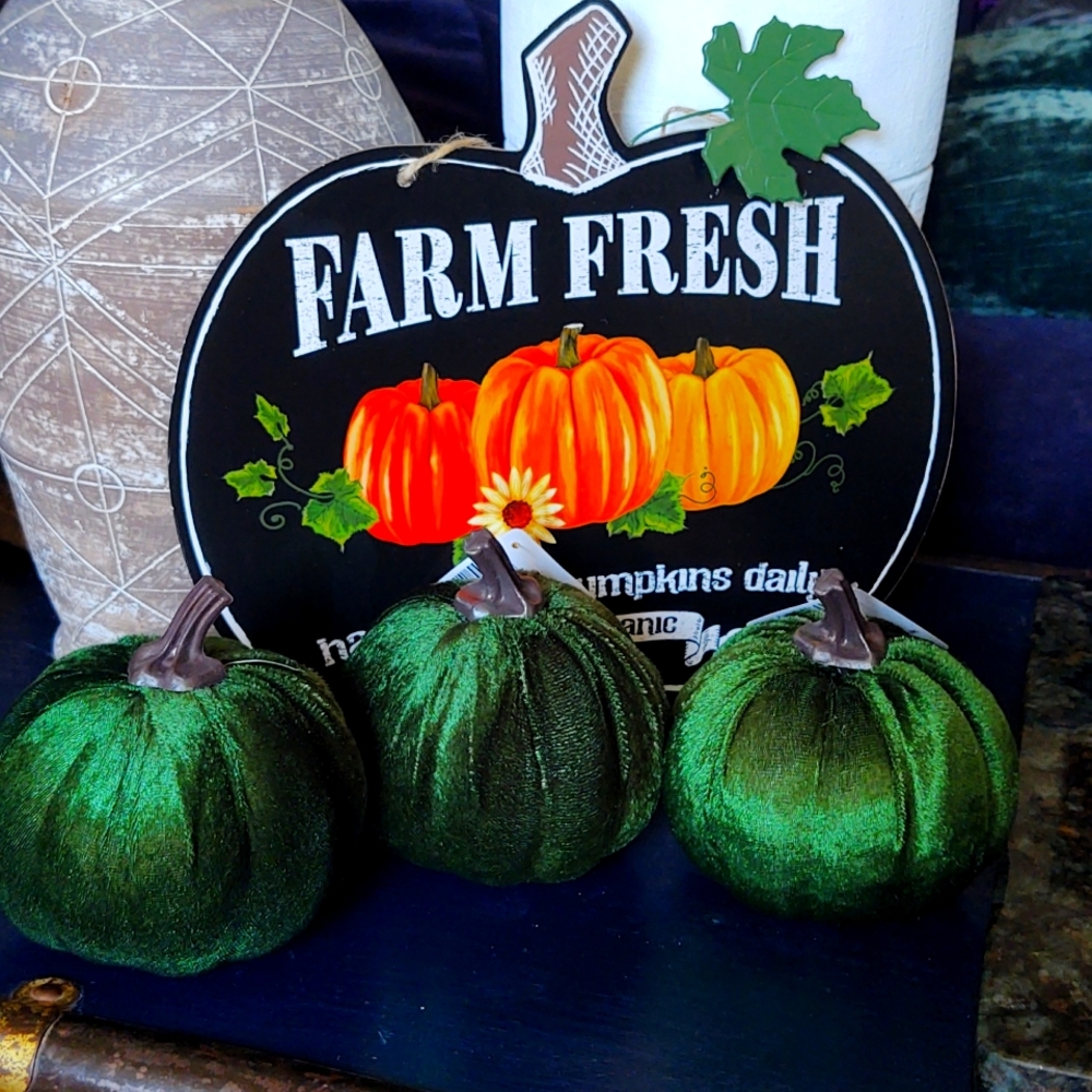 3 Green Velvet Pumpkins & Organic Hand Picked Pumpkins Sign Fall Thanksgiving